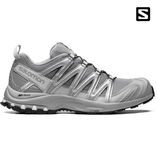 Salomon Xa Pro 3d Women's Sneakers Silver | CA 29Z58
